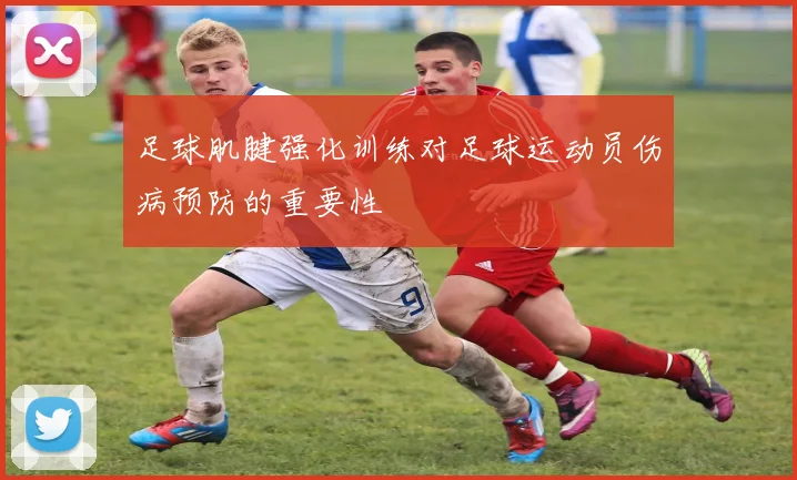 足球肌腱强化训练对足球运动员伤病预防的重要性