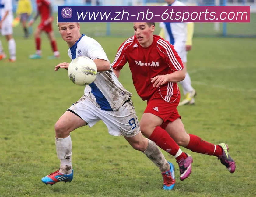 App Interface Preview